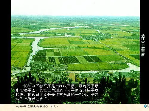 人教版七年级上学期历史与社会3.--稻作文化的印记(共25张PPT)