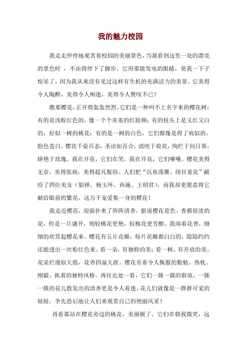 小学生作文《我的魅力校园》