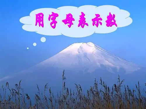 人教版五年级数学上册用字母表示数课件