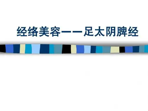 足少阴肾经