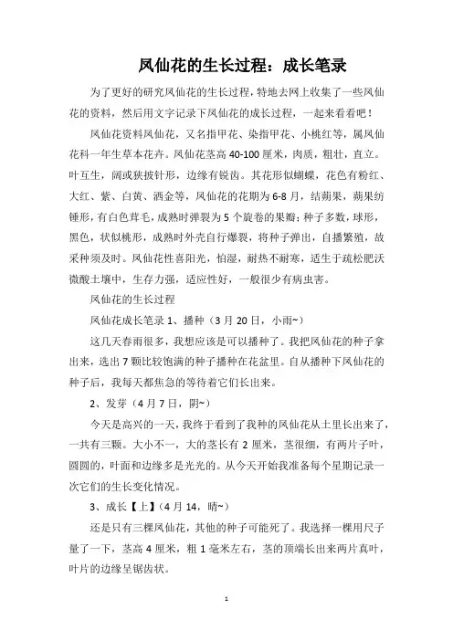 凤仙花的生长过程：成长笔录