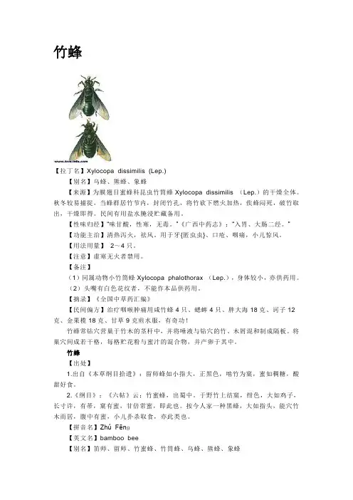 竹蜂