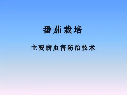 番茄病虫害防治