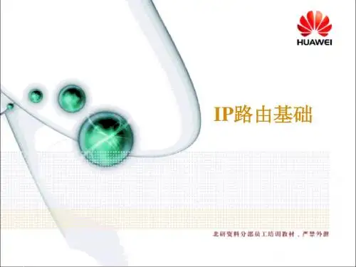IP路由基础