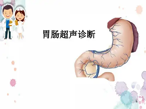 胃肠超声诊断PPT参考课件