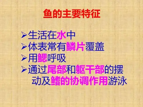 初中八年级生物上册 5.1.5《两栖动物和爬行动物》名师优质课件2 (新版)新人教版