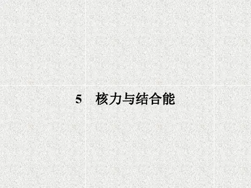 高中物理选修3-5课件 19.5 核力与结合能
