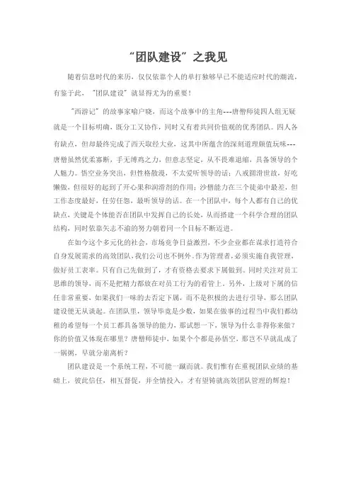 “团队建设”之我见