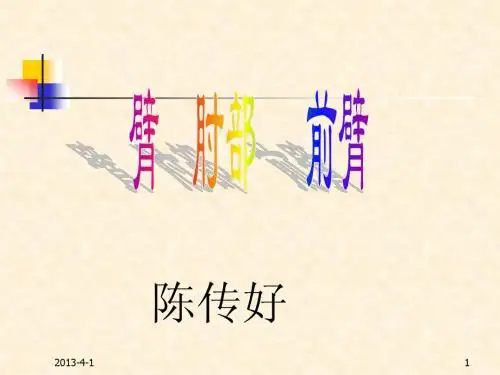 臂.肘.前臂