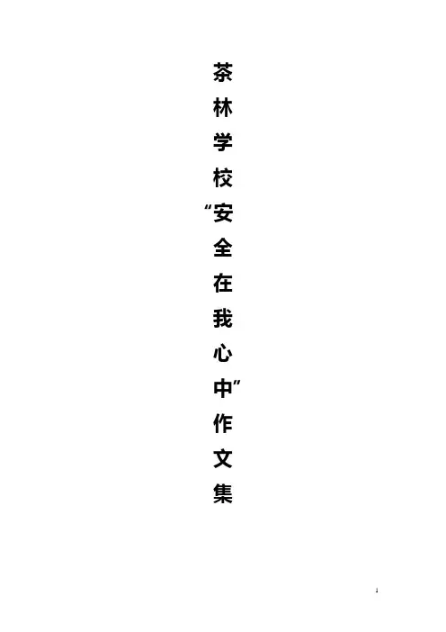 中学生安全在我心中500字作文 2