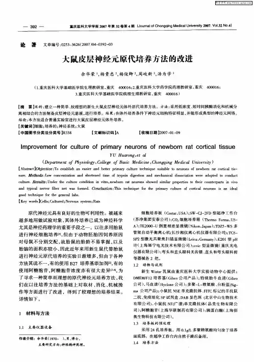 大鼠皮层神经元原代培养方法的改进