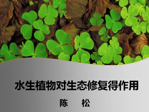 水生植物对生态修复得作用