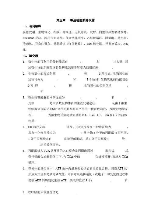 第五章   微生物的新陈代谢