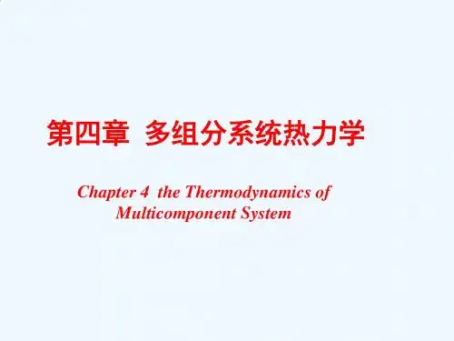 04多组分系统热力学
