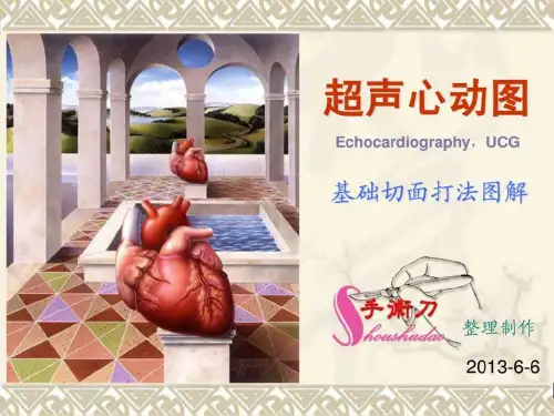 超声心动图常用切面的打法图解