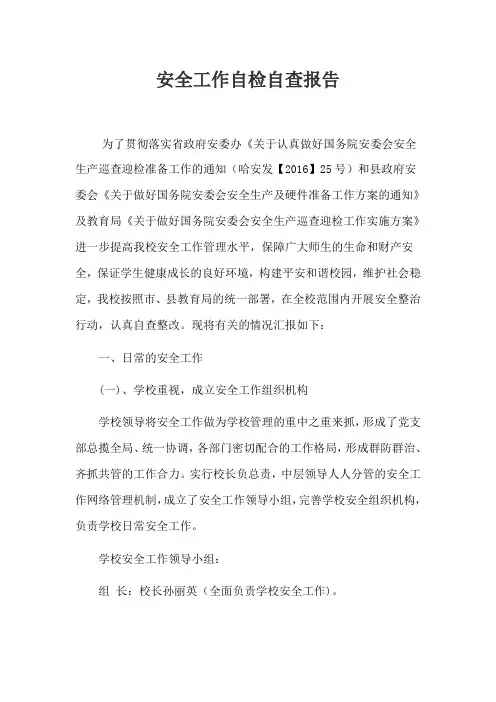 特教学校安全工作迎检自查报告