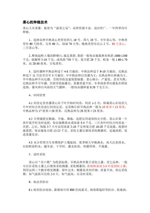菜心的种植技术
