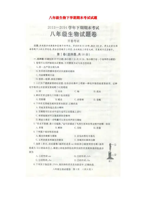 河南省郑州市—八年级生物下学期期末考试试题(扫描版) 新人教版