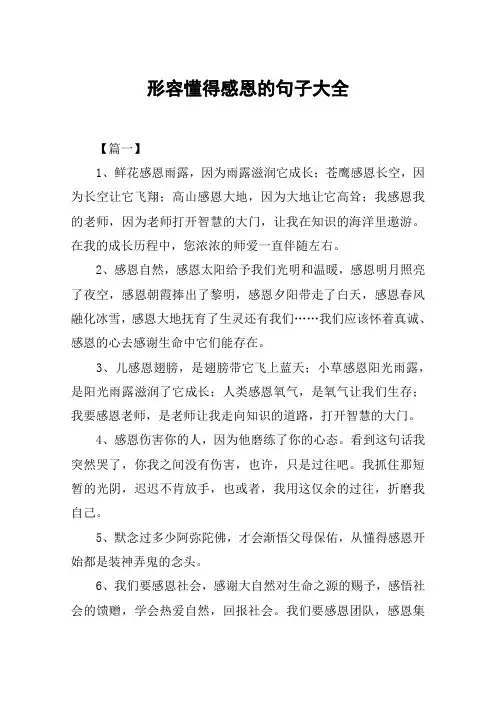 形容懂得感恩的句子大全