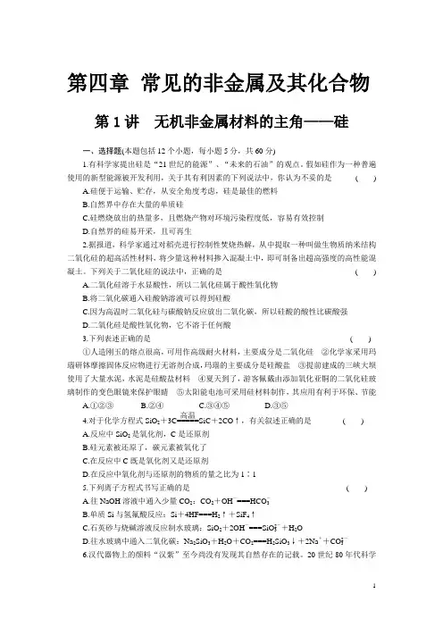 硅的试题及答案