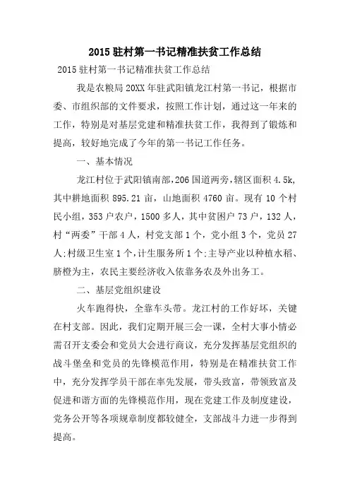 xx驻村第一书记精准扶贫工作总结