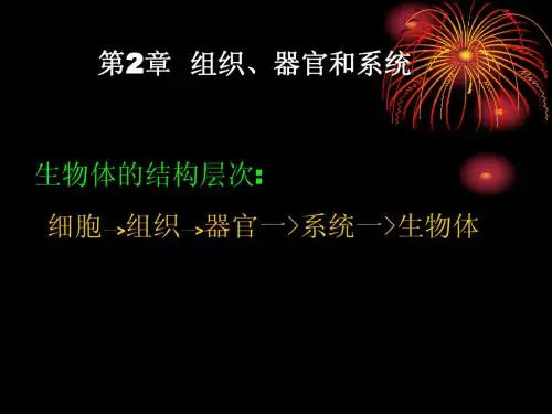 第2章 组织、器官