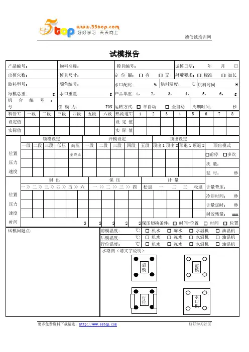 试模报告