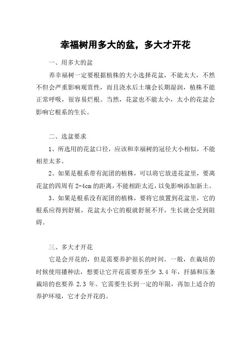 幸福树用多大的盆,多大才开花