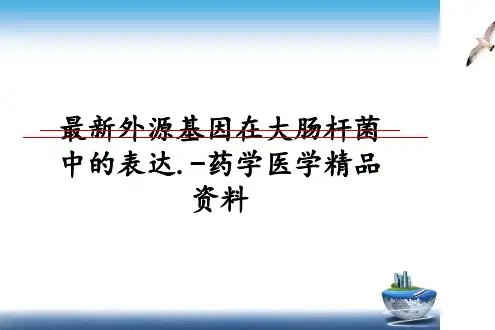 最新外源基因在大肠杆菌中的表达.-药学医学精品资料
