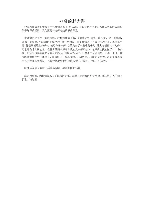 神奇的胖大海