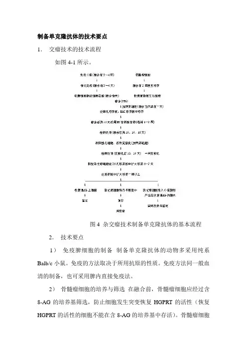 制备单克隆抗体的技术要点
