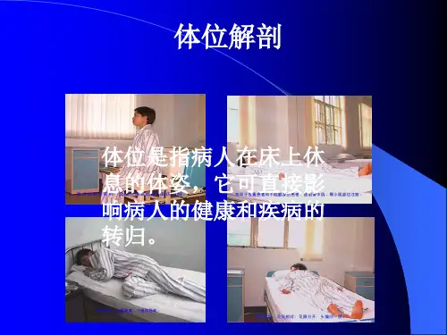 5 体位解剖