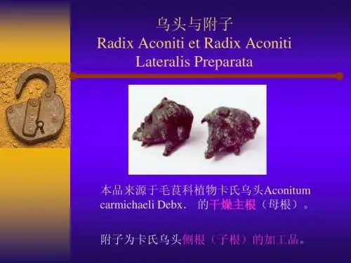 生药学 川乌与附子、黄连