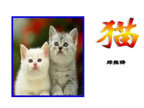 猫 郑振铎