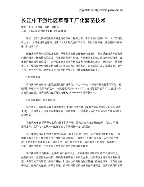 长江中下游地区草莓工厂化繁苗技术