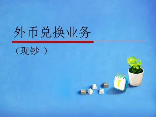 外币兑换业务资料