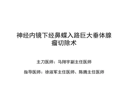 神经内镜经鼻蝶入路巨大垂体腺瘤切除术