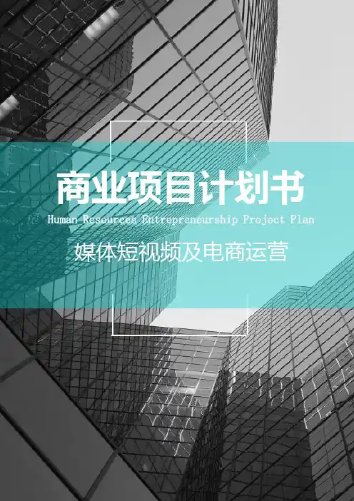 最新版短视频及电商运营项目融资商业计划书