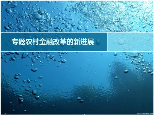 专题----农村金融改革的新进展 PPT课件