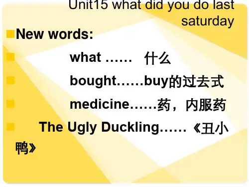 Unit15 what did you do last saturday