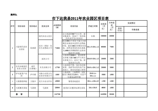 2011年农业园区项目表