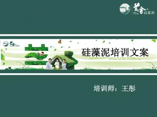 色彩搭配3.ppt