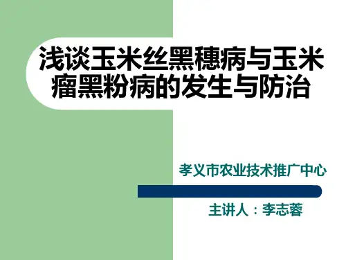 玉米丝黑穗病 瘤黑粉病及防治