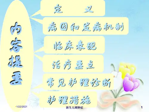 新生儿硬肿症培训课件
