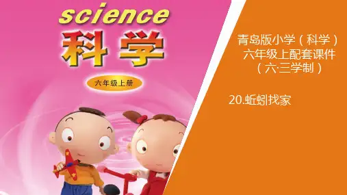 新青岛版小学科学六年制六年级上册20.《蚯蚓找家》教学课件