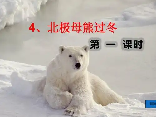4、北极母熊过冬(第一课时)