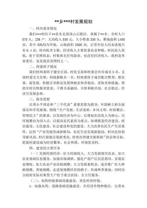 村级发展规划