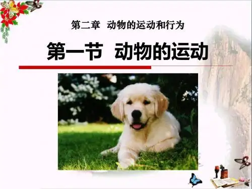 动物的运动 动物的运动和行为PPT优秀课件