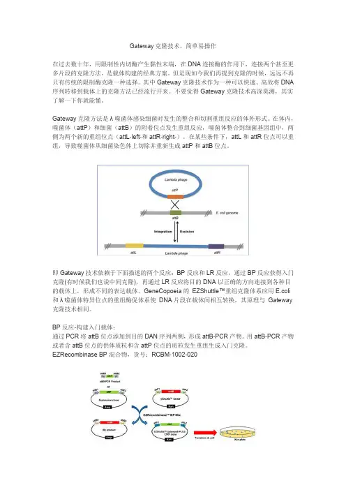 Gateway克隆技术,简单易操作