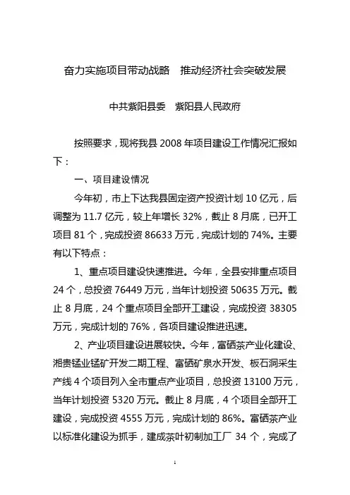 项目建设情况的汇报